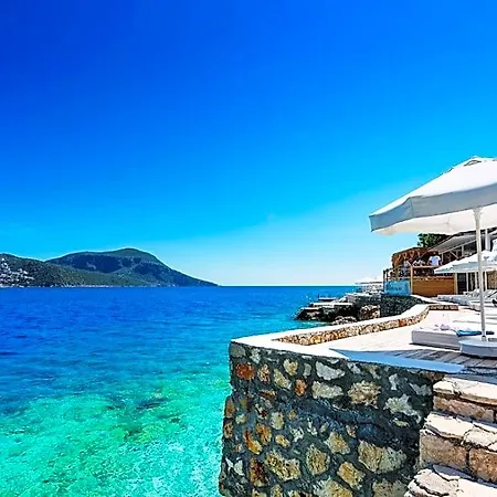 Saray Kalkan