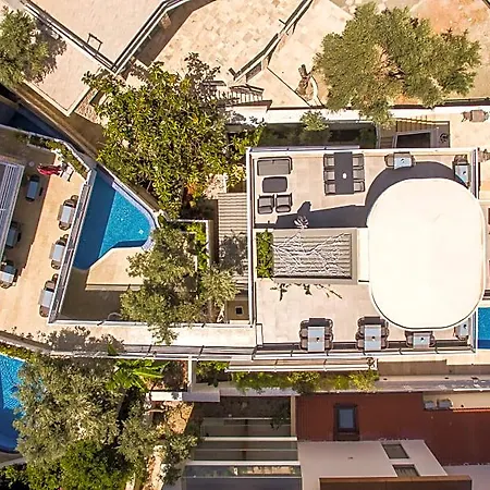 Saray Kalkan